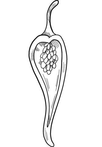 Chilli Pepper Cut In Half Coloring Page